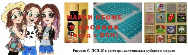 ГАЛЛЮЦИНОГЕННЫЕ ГРИБЫ Баксан