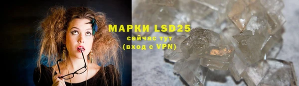 ГАЛЛЮЦИНОГЕННЫЕ ГРИБЫ Баксан