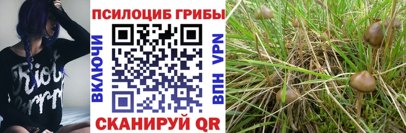 это телеграм  купить наркотики цена  Серов  Галлюциногенные грибы GOLDEN TEACHER 